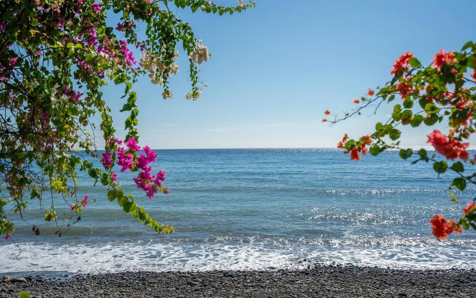 Beach Photo