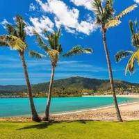 Seascape Whitsundays